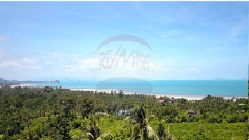 ขายที่ดินเปล่า เกาะสมุย